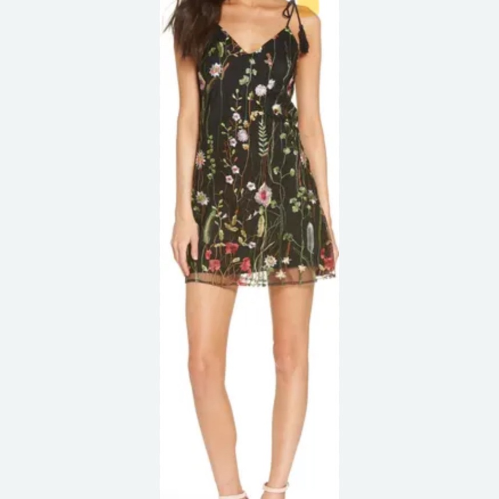 Treat Yourself Embroidered Minidress
Ali & Jay
